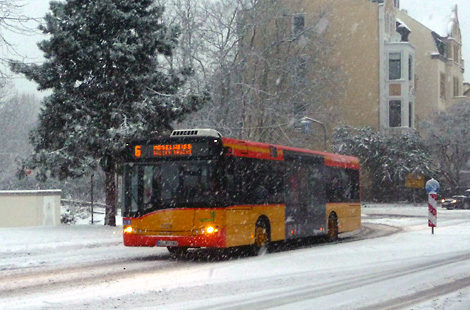 Foto der Woche 1